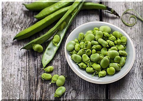 legumes that help you lose fat like fava beans