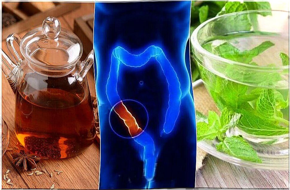 5 medicinal infusions to cleanse the colon naturally