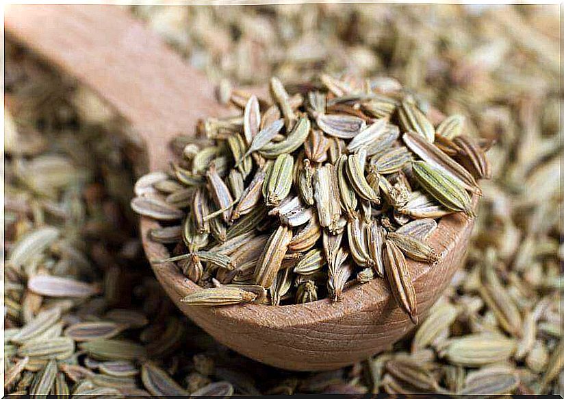 Fennel seed infusion