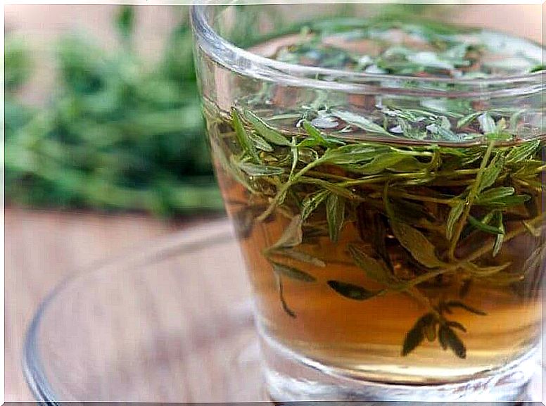 Thyme infusion