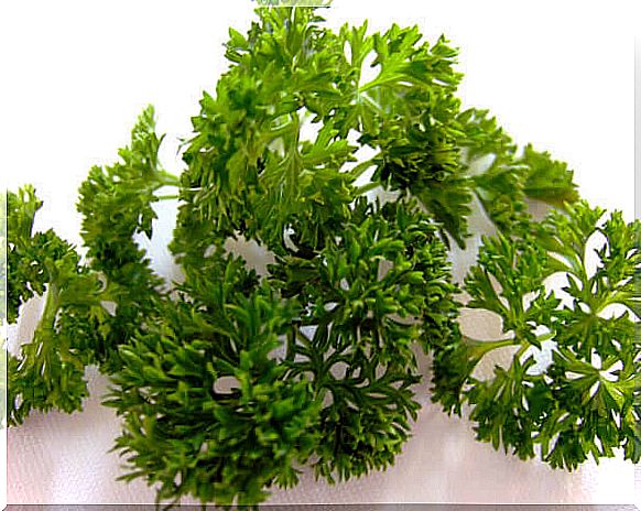 parsley