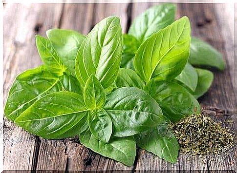 Basil has many health benefits