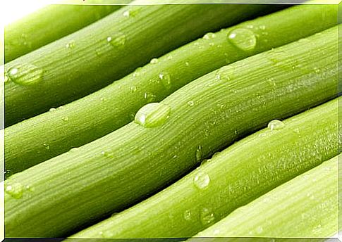 Celery to prevent hair loss