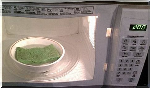 Disinfecting sponge in the microwave