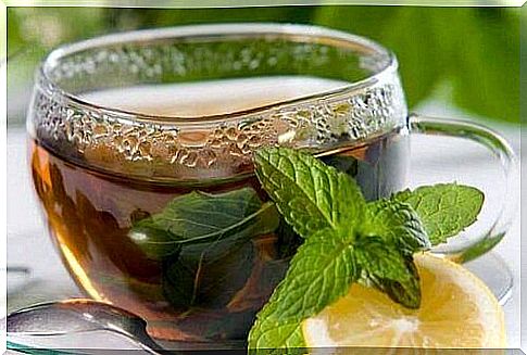 Speeding Up Metabolism with a Mint Potion