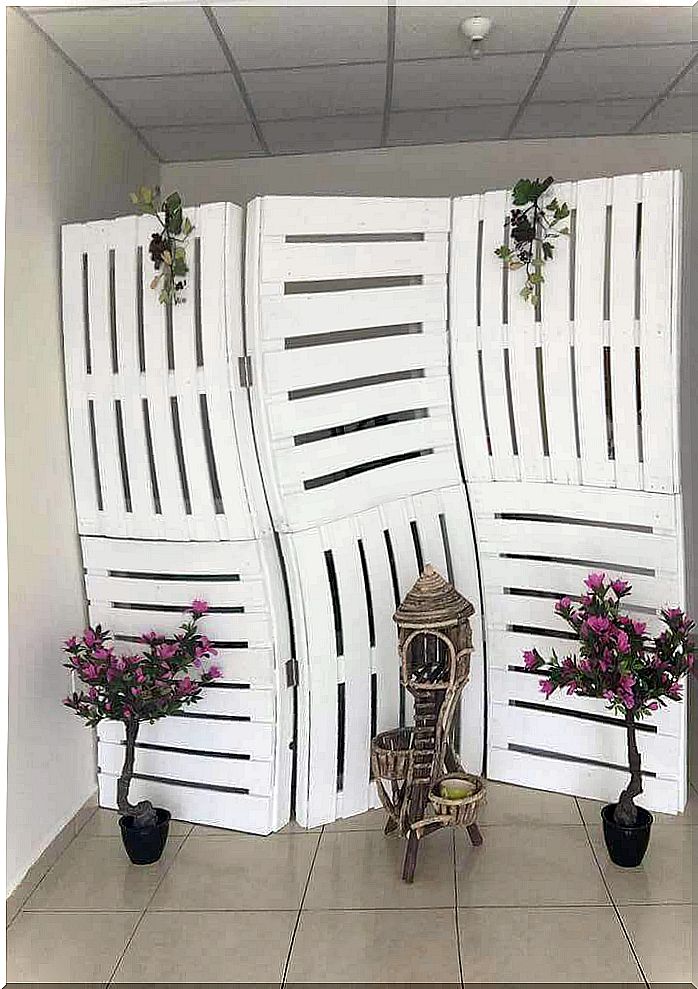 Stylish room dividers