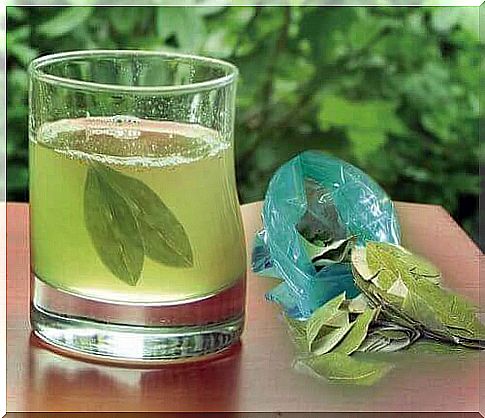 Avocado leaf tea