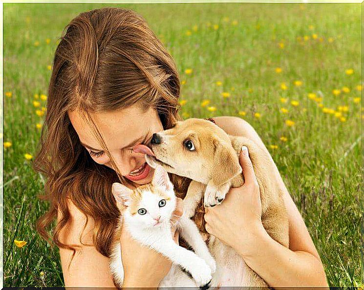 Woman with kitten and puppy in the grass