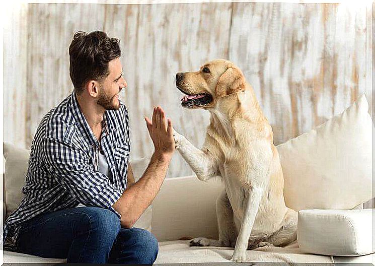 Dog gives man a high five