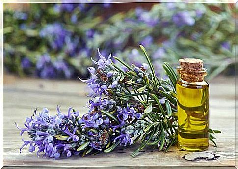 Make an air freshener with rosemary and lemon