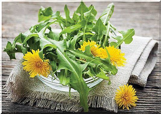 Dandelions and dandelion leaves