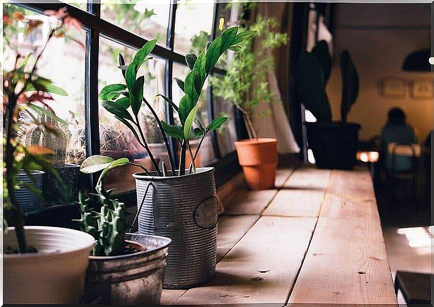 Vintage flower pots made from cans