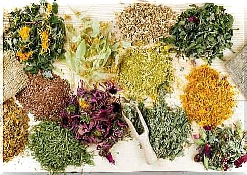 Medicinal Herbs That Help Relieve Abdominal Pain