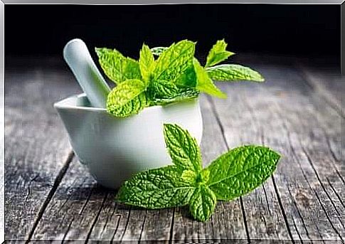 mint leaves