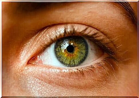 Ocular nevi: are freckles in the eye dangerous?