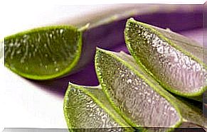 Aloe Vera To Treat Heartburn