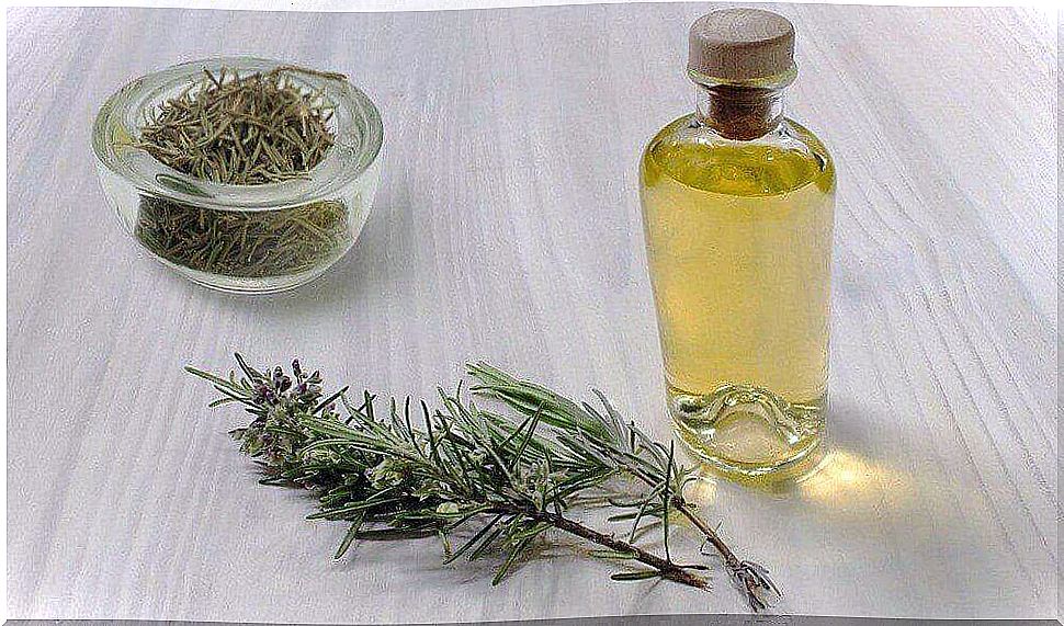 Slimming and nourishing lotion with rosemary oil