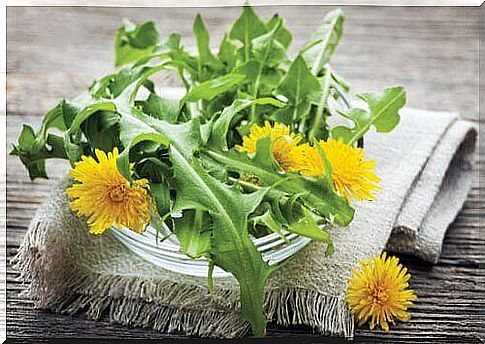 Dandelion is one of the herbs to lower your blood pressure