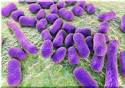 What are the most common pathogens during the summer