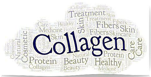 The Purpose and Sources of Collagen