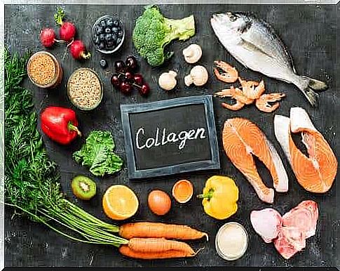 Which foods contain collagen?