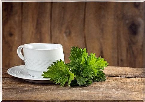 parsley tea