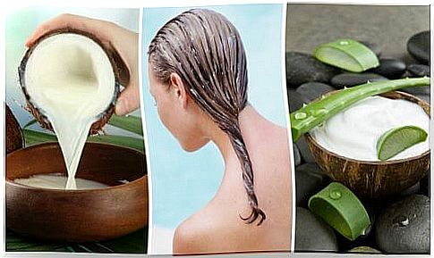 Treating hair loss with aloe vera and coconut milk