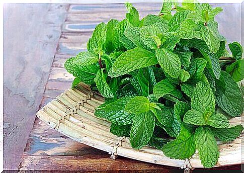 basket of peppermint leaves