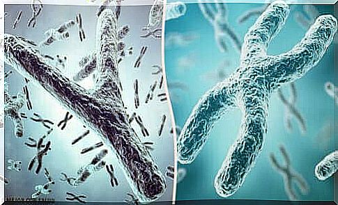 Enlargement of telomeres