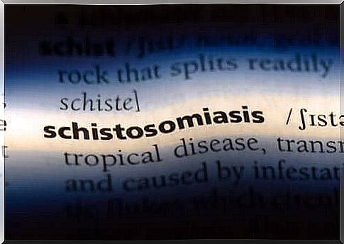 What is schistosomiasis and how do you get it?