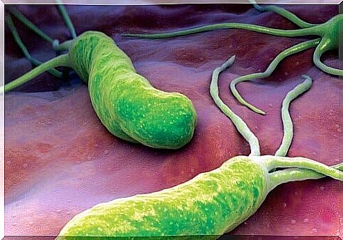 What you need to know about the Helicobacter Pylori bacteria